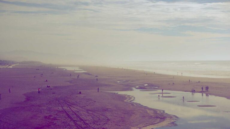 How To Use 11Xplay For New Users?