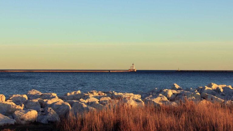 How To Play A Cricbet99 Session Match?